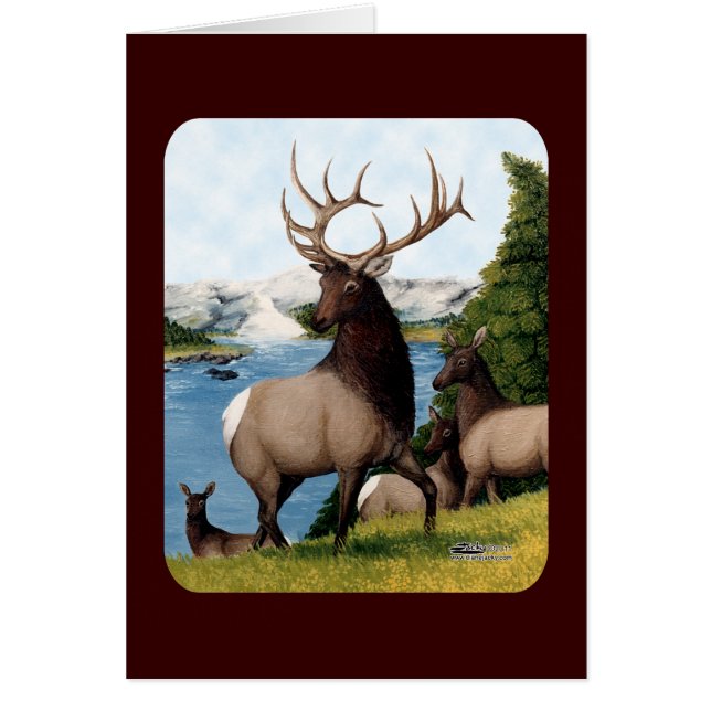 Elk Wapiti (Voorkant)