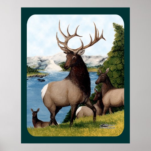 Elk Wapiti Poster (Voorkant)