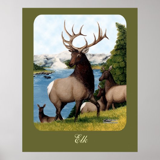 Elk Wapiti Poster (Voorkant)