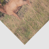 Elk-weefselpapier Tissuepapier (Detail)