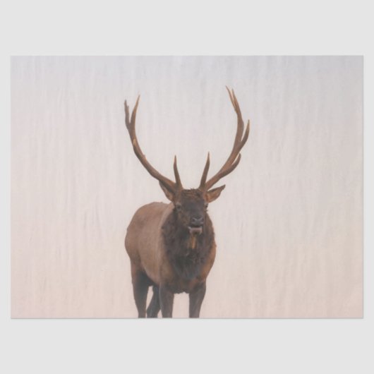 Elk-weefselpapier Tissuepapier (Voorkant)