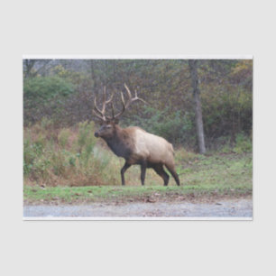 Elk-weefselpapier Tissuepapier