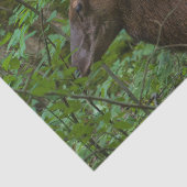 Elk-weefselpapier Tissuepapier (Detail)