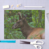 Elk-weefselpapier Tissuepapier (Craft)