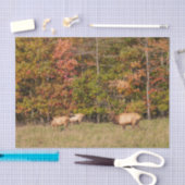 Elk-weefselpapier Tissuepapier (Craft)