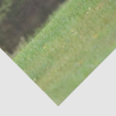 Elk-weefselpapier Tissuepapier (Detail)