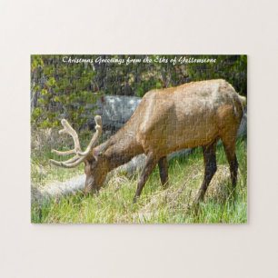 Elk Yellowstone Montana. Kerstgroeten Legpuzzel