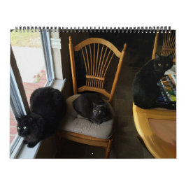 Elke dag is de aangepaste zaterdagkalender kalender