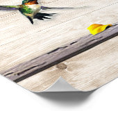 Elke dag is een nieuw begin Hummingbird Poster (Hoek)