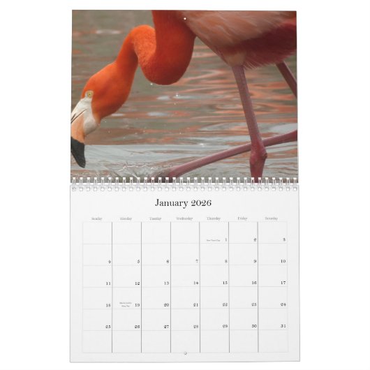 Elke dag is Flamingo Vrijdag - kalender (Jan 2026)