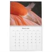 Elke dag is Flamingo Vrijdag - kalender (Mar 2026)
