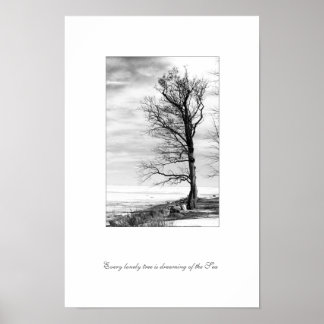 Elke eenzame boom droomt van het Zee Poster