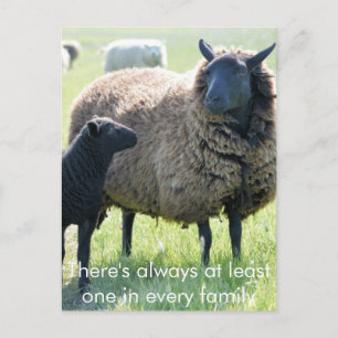 Elke familie heeft een zwart schaap briefkaart
