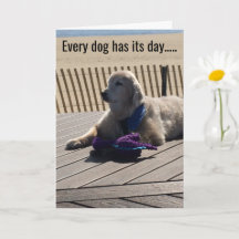 Elke hond heeft zijn dag, elke dag! -