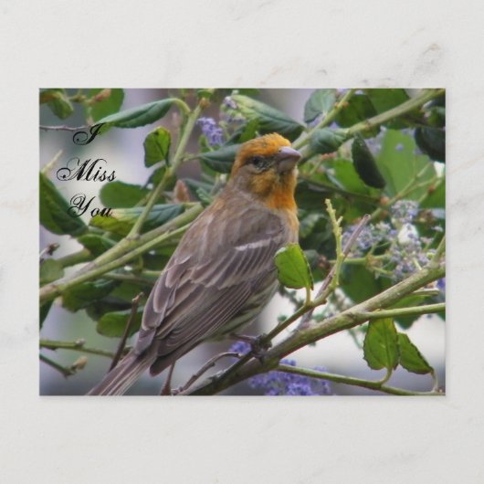 Elke keer_ briefkaart (Voorkant)