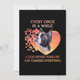 Elke keer dat een hond je leven in Boston betreedt Aankondiging