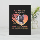 Elke keer dat een hond je leven in Boston betreedt Aankondiging (Staand voorkant)