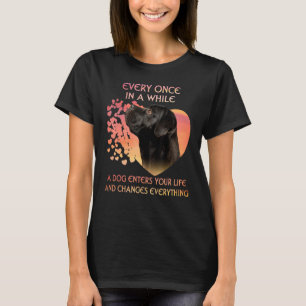 Elke keer in een tijd dat een suikerriet je leven t-shirt