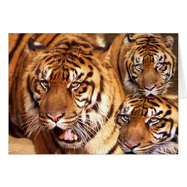 Elke keer _ kaart (Voorkant Horizontaal)