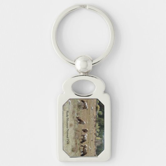 Elke metalen sleutelketen sleutelhanger (Voorkant)