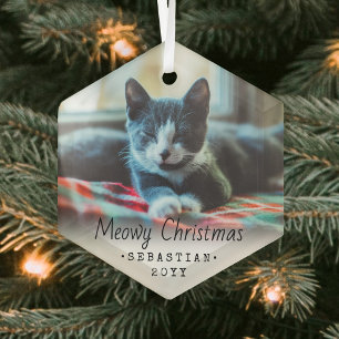 Elke sms-Meowy kerstkat Eenvoudige hexagon foto Glas Ornament