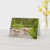 Elks door de Colorado Kaart (Gele Bloem)