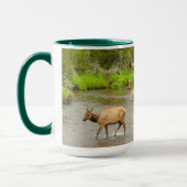 Elks door de Colorado Mok (Links)