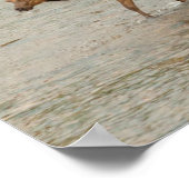 Elks door de Colorado Poster (Hoek)