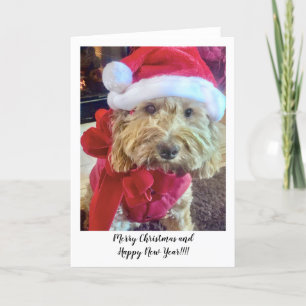 Ella Bella Banana Santa Bedankkaart