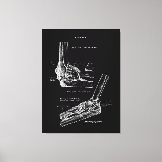 Elleboog Gewricht Anatomie Canvas Kunst (Voorkant)
