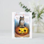 Ellen H. Clapsaddle: Halloween Owl Briefkaart (Staand voorkant)