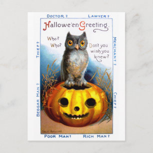 Ellen H. Clapsaddle: Halloween Owl Briefkaart