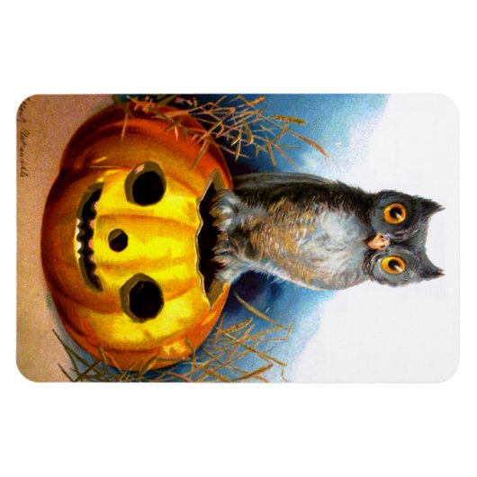 Ellen H. Clapsaddle: Halloween Uil Magneet (Horizontaal)