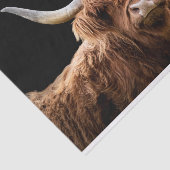 Ellie, de Hoogland Coo Tissuepapier (Detail)