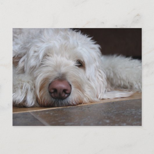 Elliot Briefkaart (Voorkant)