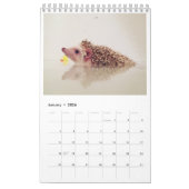 elliot le calendrier de hérisson (Jan 2026)