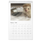 elliot le calendrier de hérisson (Feb 2026)