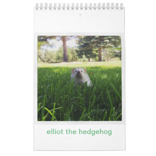 elliot van de egelkalender kalender