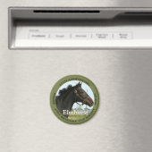 Elmhurst - '97 Breeders' Cup sprintwinnaar Magneet (Insitu (Vaatwasser))