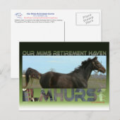 Elmhurst - '97 Foeders' Cup Sprint Winner Briefkaart (Voorkant / Achterkant)