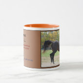 Elmhurst - '97 Foeders' Cup Sprint Winner Mok (Midden)