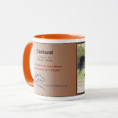 Elmhurst - '97 Foeders' Cup Sprint Winner Mok (Voorkant links)