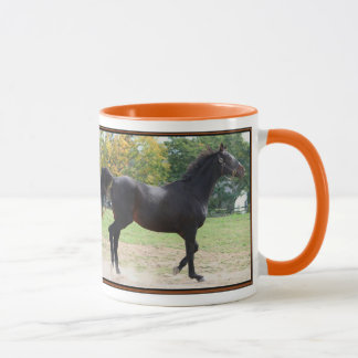 Elmhurst - gagnant de sprint de tasse de "97