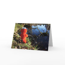 Elmo Plassend aan de waterrand.