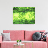 Elodea Plant cellen Canvas Afdruk (Insitu (Woonkamer))