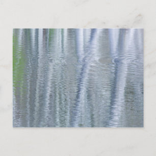 Els Bainbridge Island, WA Briefkaart