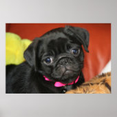 Elsa - afdruk poster (Voorkant)