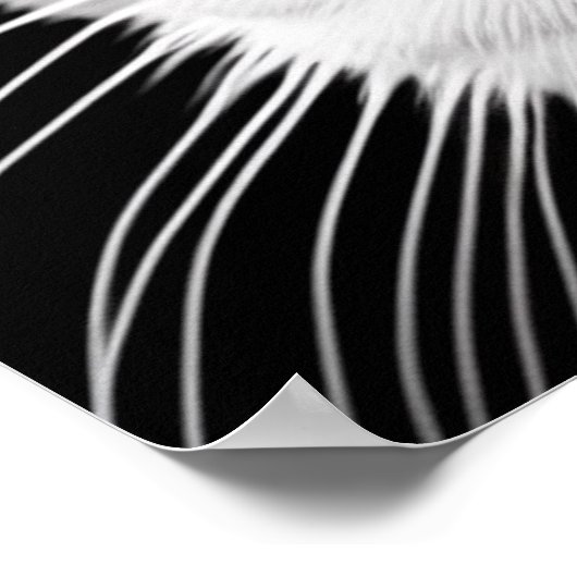 Elsa's ogen poster (Hoek)