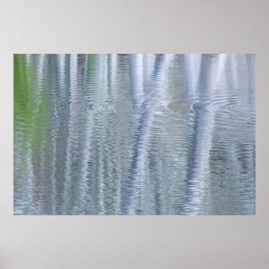 Elsbes | Bainbridge Island, WA Poster (Voorkant)