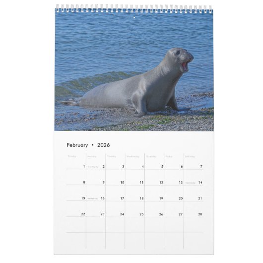 Elsie Mae Calendar Kalender (Feb 2026)